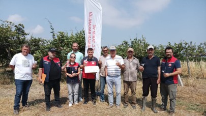 Kahverengi kokarcaya karşı doğaya samuray arısı salındı