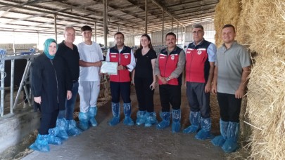 Çanakkale'de ari işletme sayısı hızla artıyor