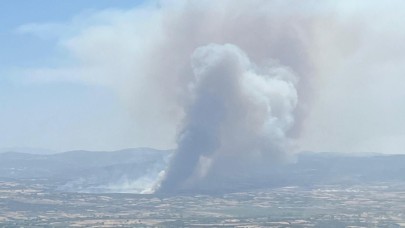 Ezine'deki yangında 205 hektar alan zara gördü!