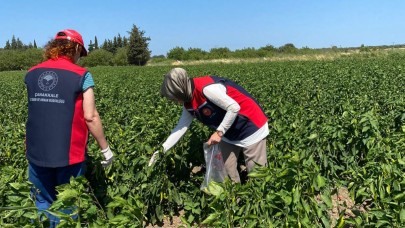 Numune alma ve analiz çalışmalarına başlandı