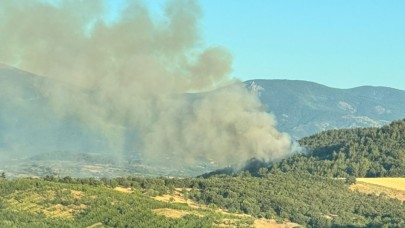 Bayramiç’teki yangın kontrol altında