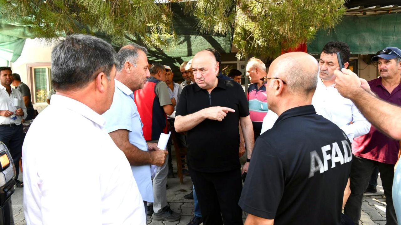 Milletvekili Ayhan Gider yangın bölgesinden seslendi!