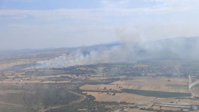 Balıklıçeşme Köyündeki yangın kontrol altında!