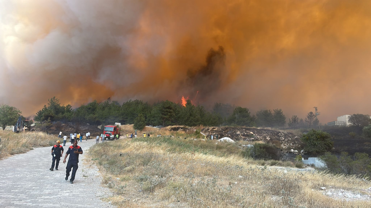 Çanakkale’de korkutan yangın!