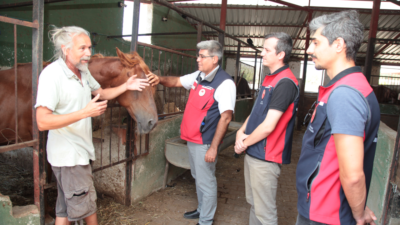 Yangın sonrası yaralar sarılıyor!