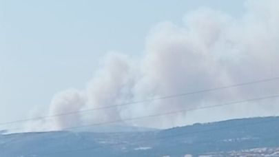 Çanakkale’de yine yangın!
