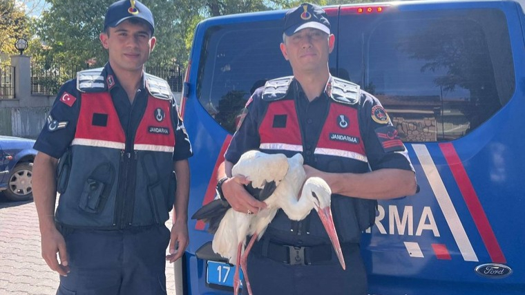 Yaralı leylek emin ellerde!