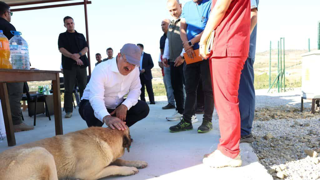 Vali Toraman’dan inceleme!