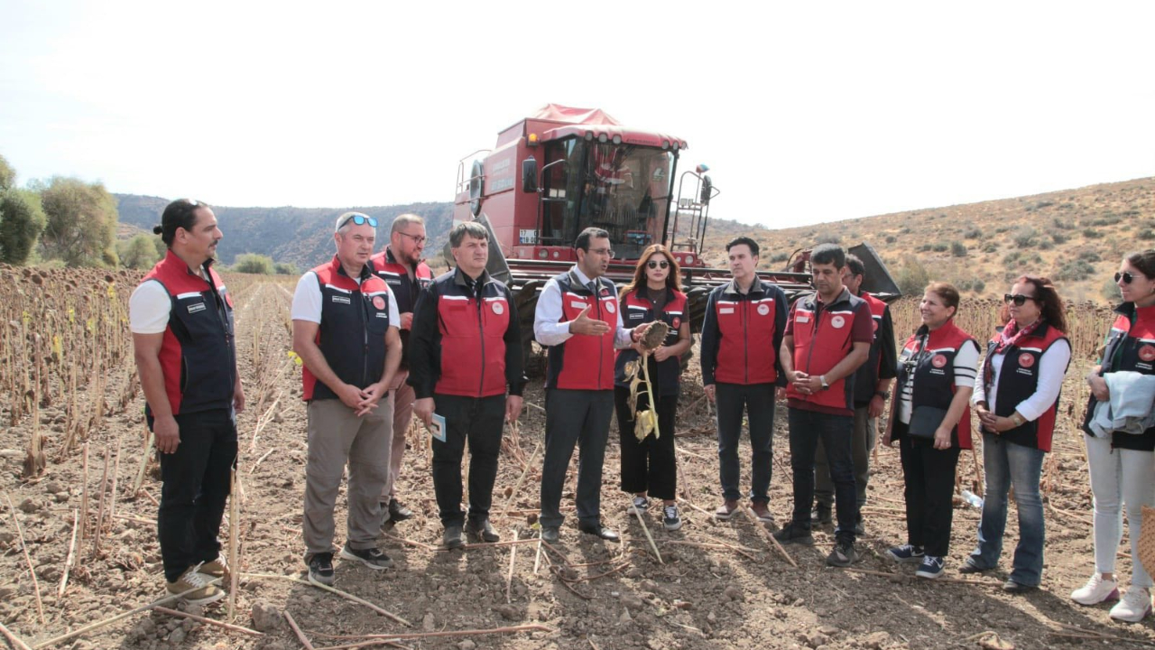 Ezine’de hasat günü!