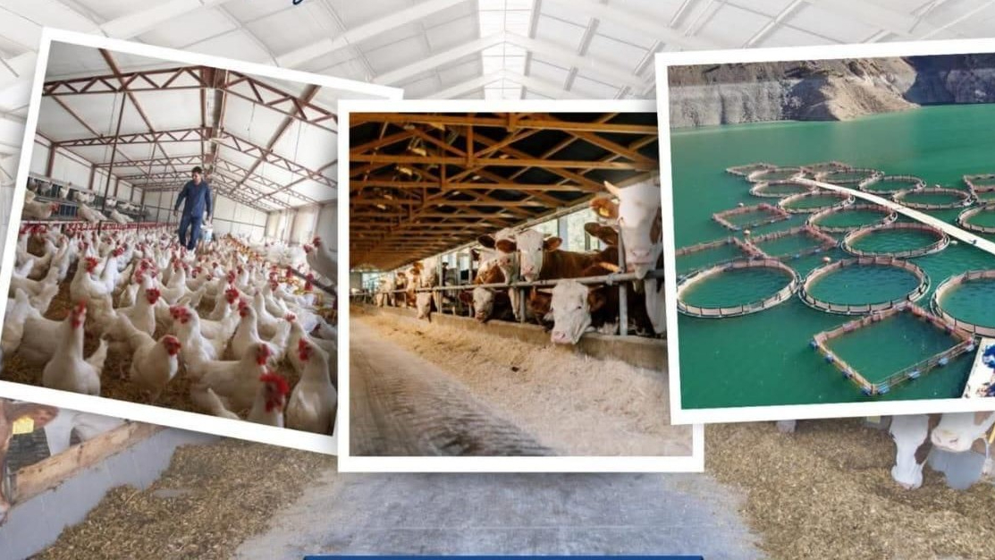 50 milyon avro hibe desteği sağlanacak!