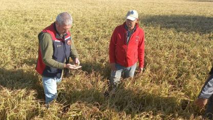 Çanakkale’de hasar tespit çalışmaları başladı