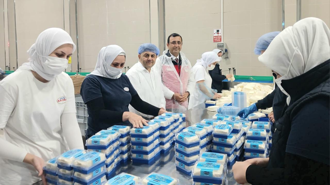 Ergün Demirhan’dan inceleme