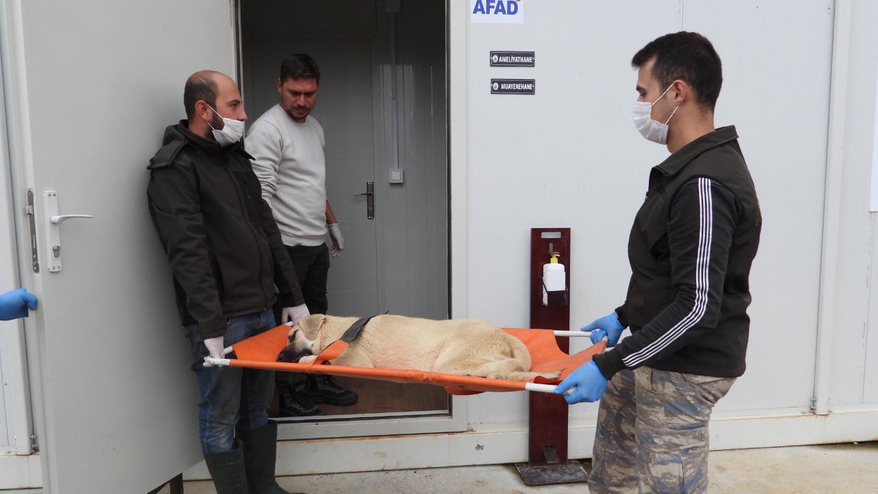 “İddialar gerçeği yansıtmıyor”