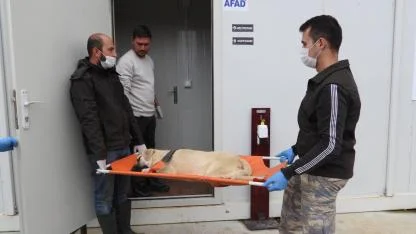 “İddialar gerçeği yansıtmıyor”