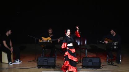 Puro Flamenco beğeni topladı