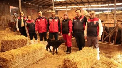 Yetiştiricilere hayvanları teslim ediliyor