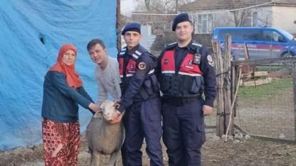 Kaybolan koyunları jandarma buldu