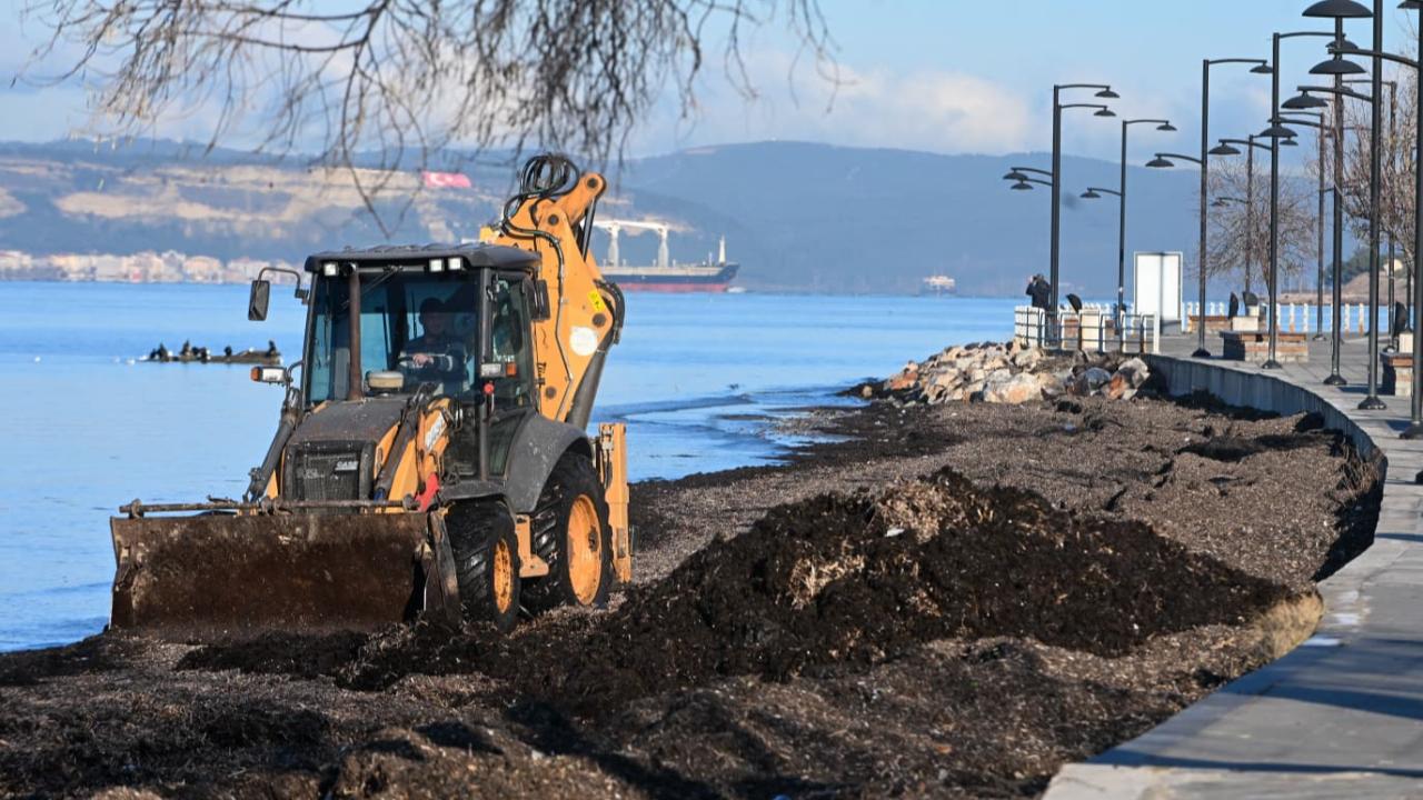 Sahillerde temizlik çalışması