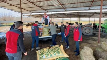 Afet bölgesine yem desteği