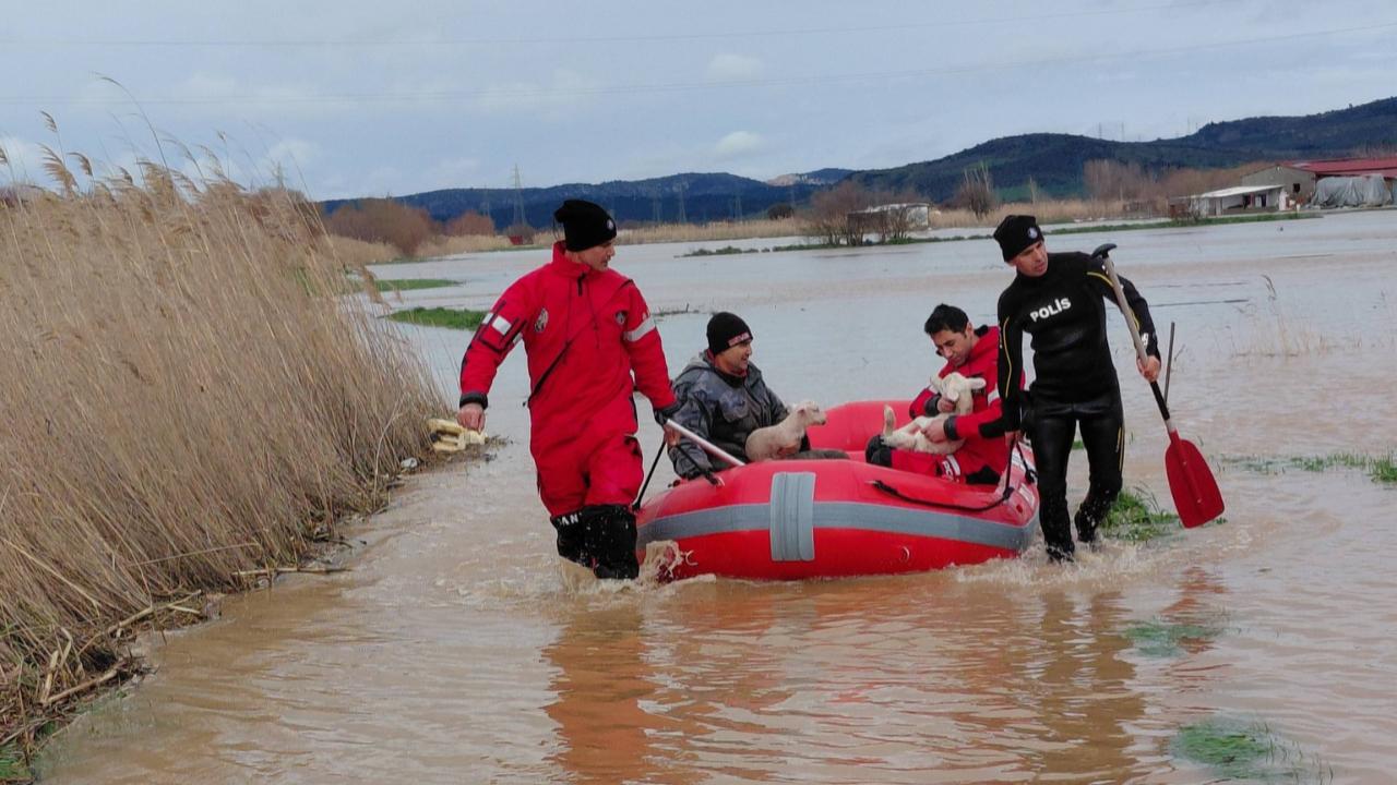 “Bölgede hayvan zayiatı yok”