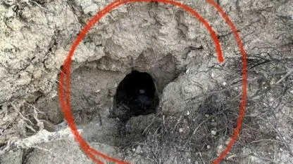 Doğan Perinçek’ten uyarı