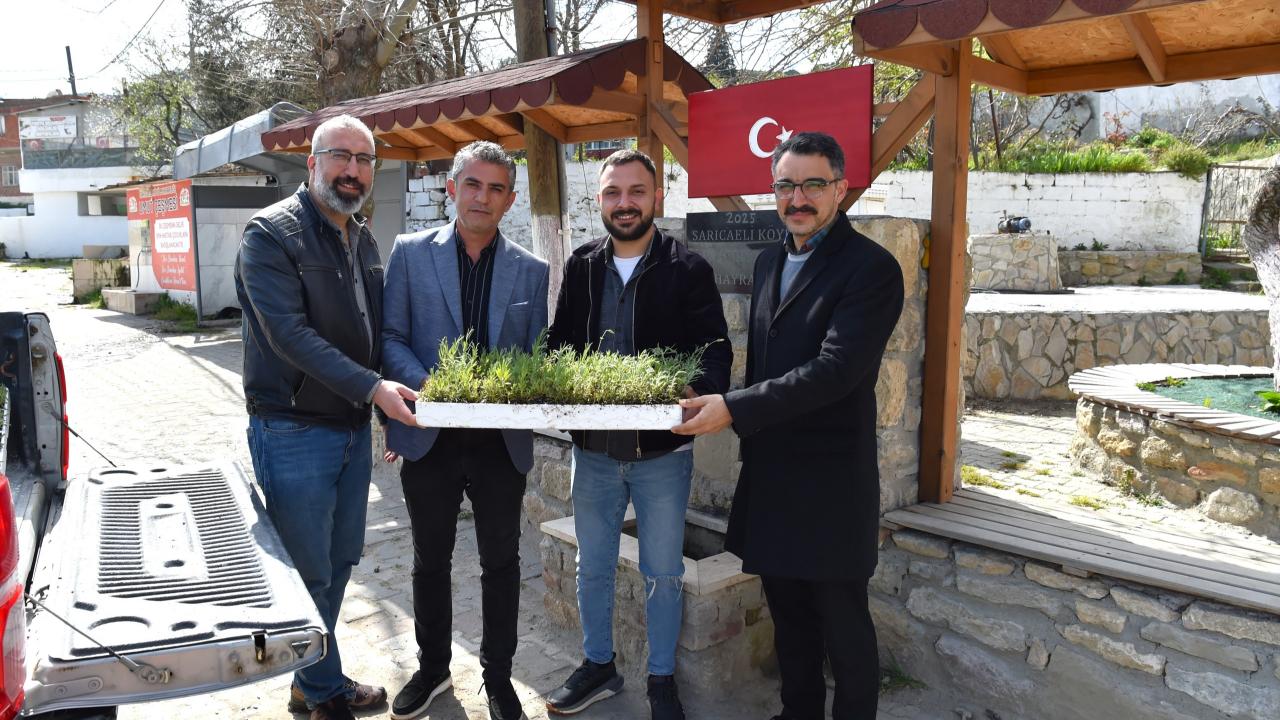 Sarıcaeli Köyü'ne lavanta desteği