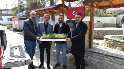 Sarıcaeli Köyü'ne lavanta desteği