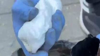 Biga’da uyuşturucu operasyonu; 1 tutuklama!