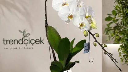 Çanakkale Çiçek Siparişi Artık Daha Hızlı: Trend Çiçek