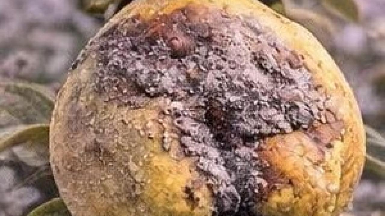 Üreticilere uyarı!