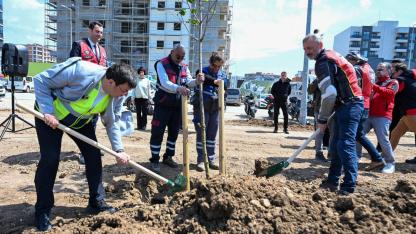Kent Park'ta ağaçlar toprakla buluştu