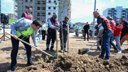 Kent Park'ta ağaçlar toprakla buluştu