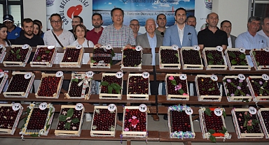 Lapseki'de kiraz yarışması